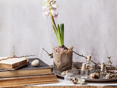 The story behind the book: Magical Herbs & Plants