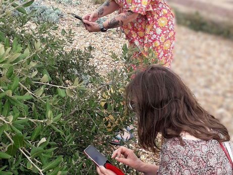 Dear Diary: Seaside shenanigans, Wight Raven loveliness, workshops and pockets