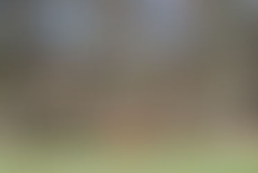 The High Priestess malarky