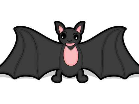 Animal Magic: The Bat