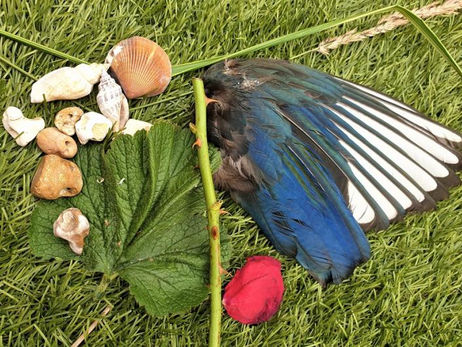 Witchcraft into the Wilds: Working Magic With Nature