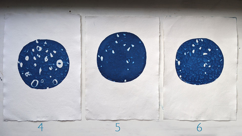 Thumbnail: "FOUND AT FAIRY COVE" varied (A3 cyanotype, edition of 10)
