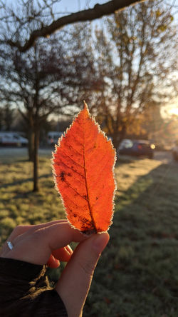 PXL_20201208_084909872