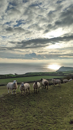 PXL_20201207_140748235