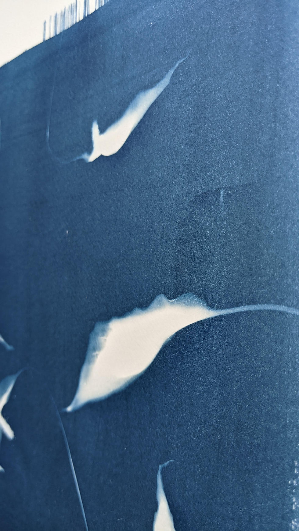 Thumbnail: "The Ghosts of Peace"  (A3 cyanotype)