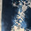 Thumbnail: "Air" element (A4 cyanotype)