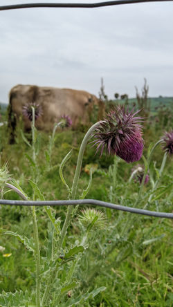 PXL_20210702_174157793