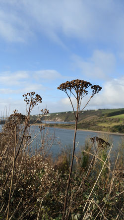 PXL_20201211_132343016