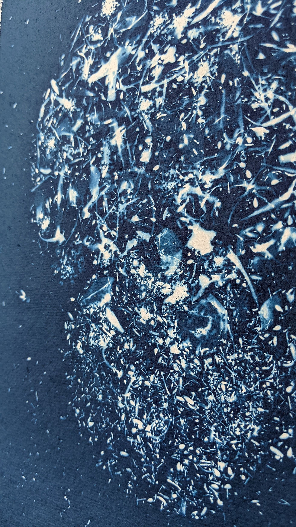 Thumbnail: "EMERGE" (A3 cyanotype)