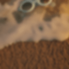 Paloceras 3D Motion Design by Dylan Oscroft