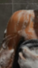 New year, New skin.jpeg