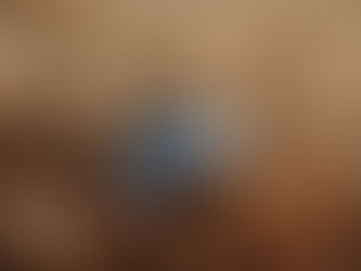 La possibilité de créer famille!