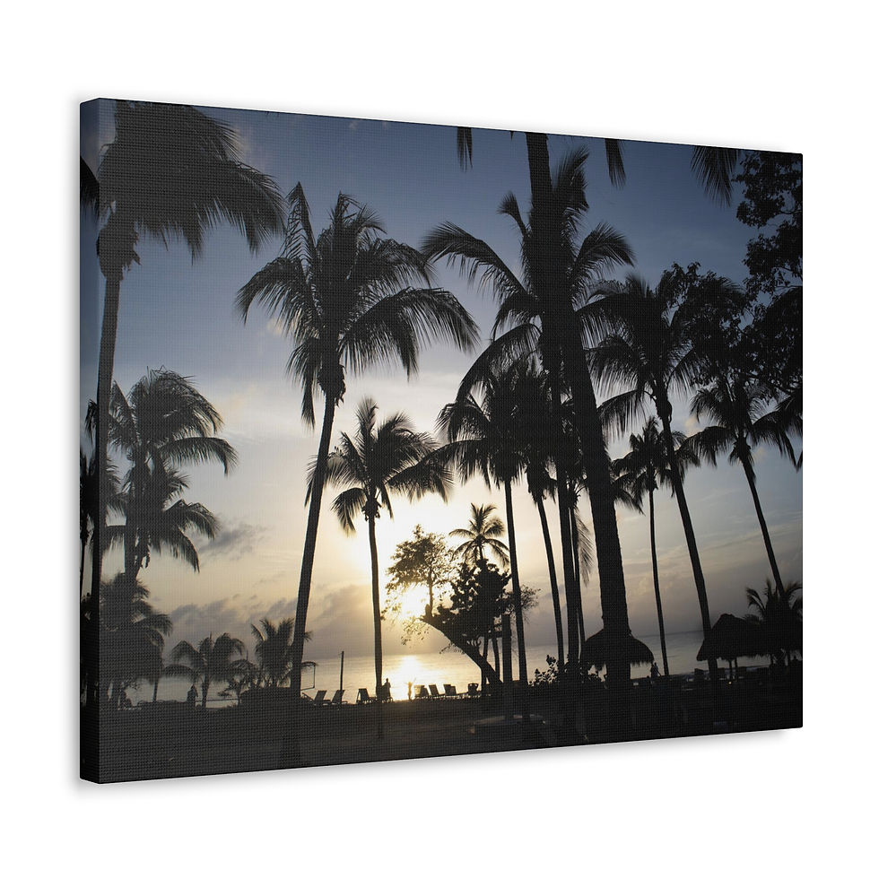 Palm Tree Silhouette on the Beach at Sunset - Wall Art Canvas Print 