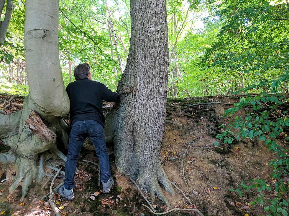 Piers investigating the film set