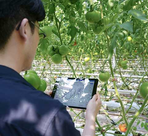 [ioFarm] 데이터 보는 관리자