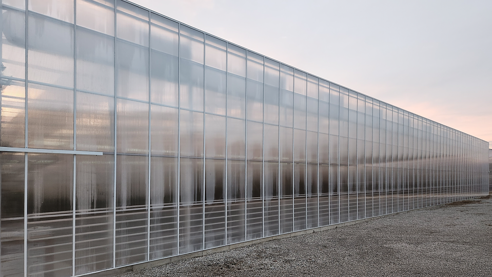 [ioCrops] 온실 외부 전경