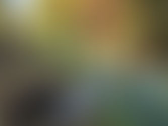 Comment préparer son chien avant de le confier à un pet sitter