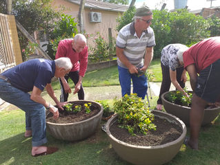 Jardim florido para esperar o Papai Noel