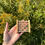 Thumbnail: Soap Dish