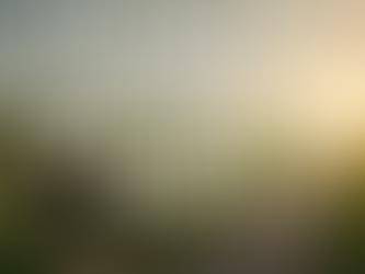 Be A Problem Solver, Not A Problem Maker