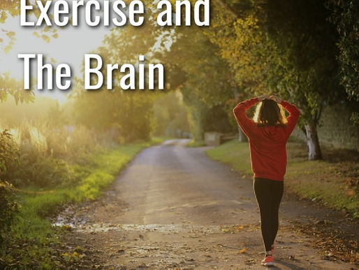 Exercise - Beyond Muscles