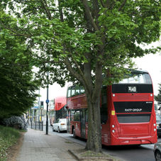London bus next to street trees
