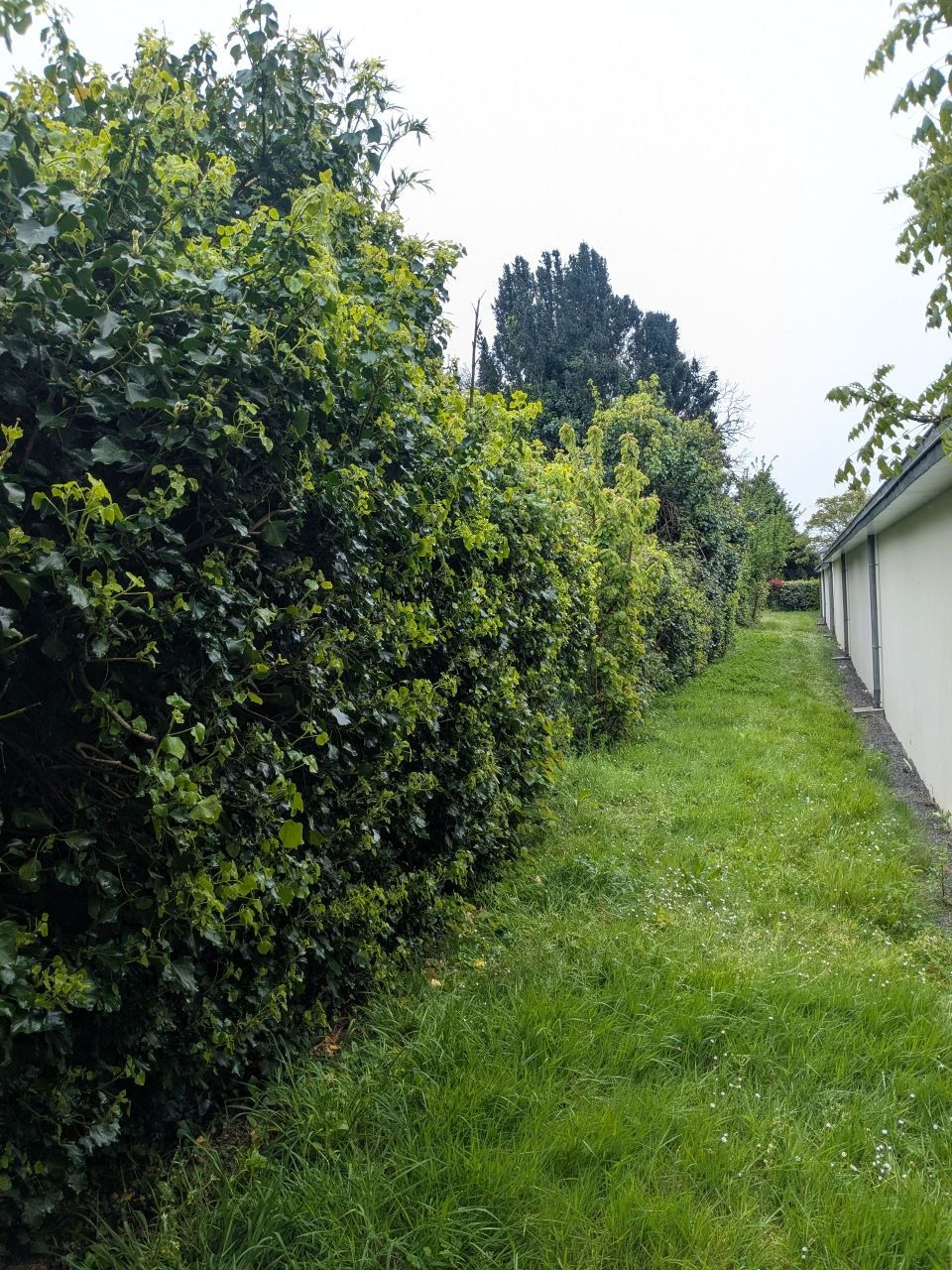 Accès derrière les parkings
