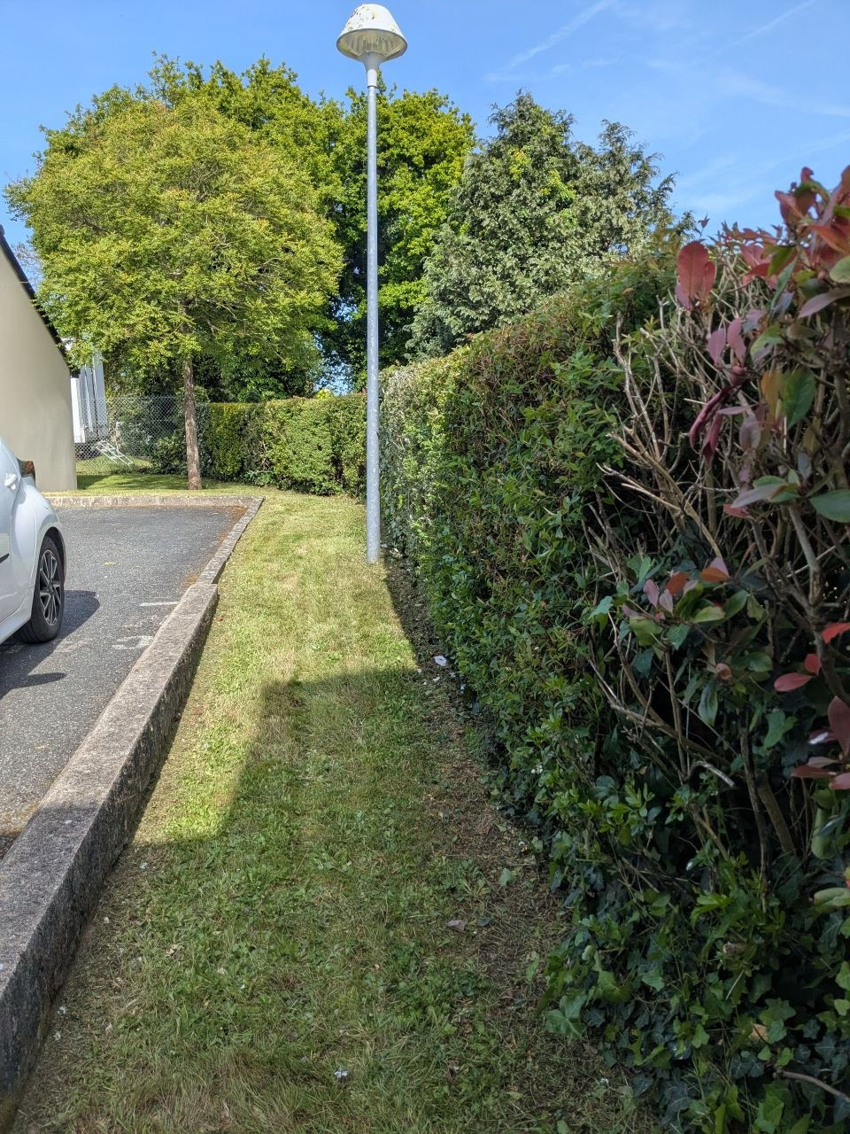 Haie de la copropriété bien taillée