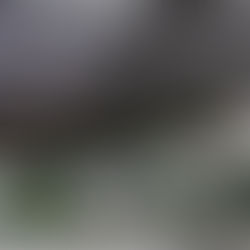 Rénovation pergola et extérieurs à la crêperie chez Mimi à Pleuven