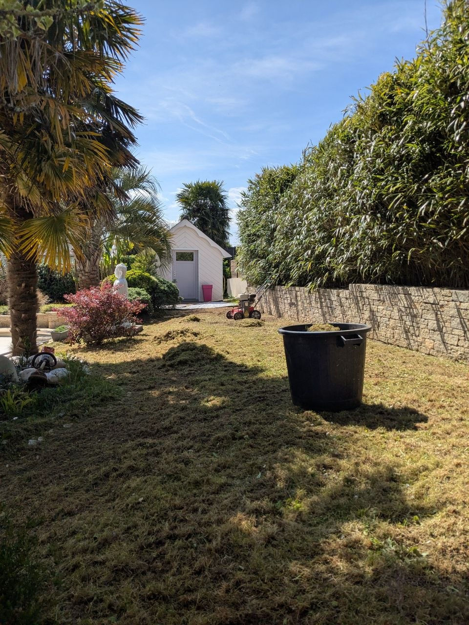 Scarification de pelouse