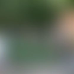 Installation d'un portail double vantaux Betafence à Fouesnant