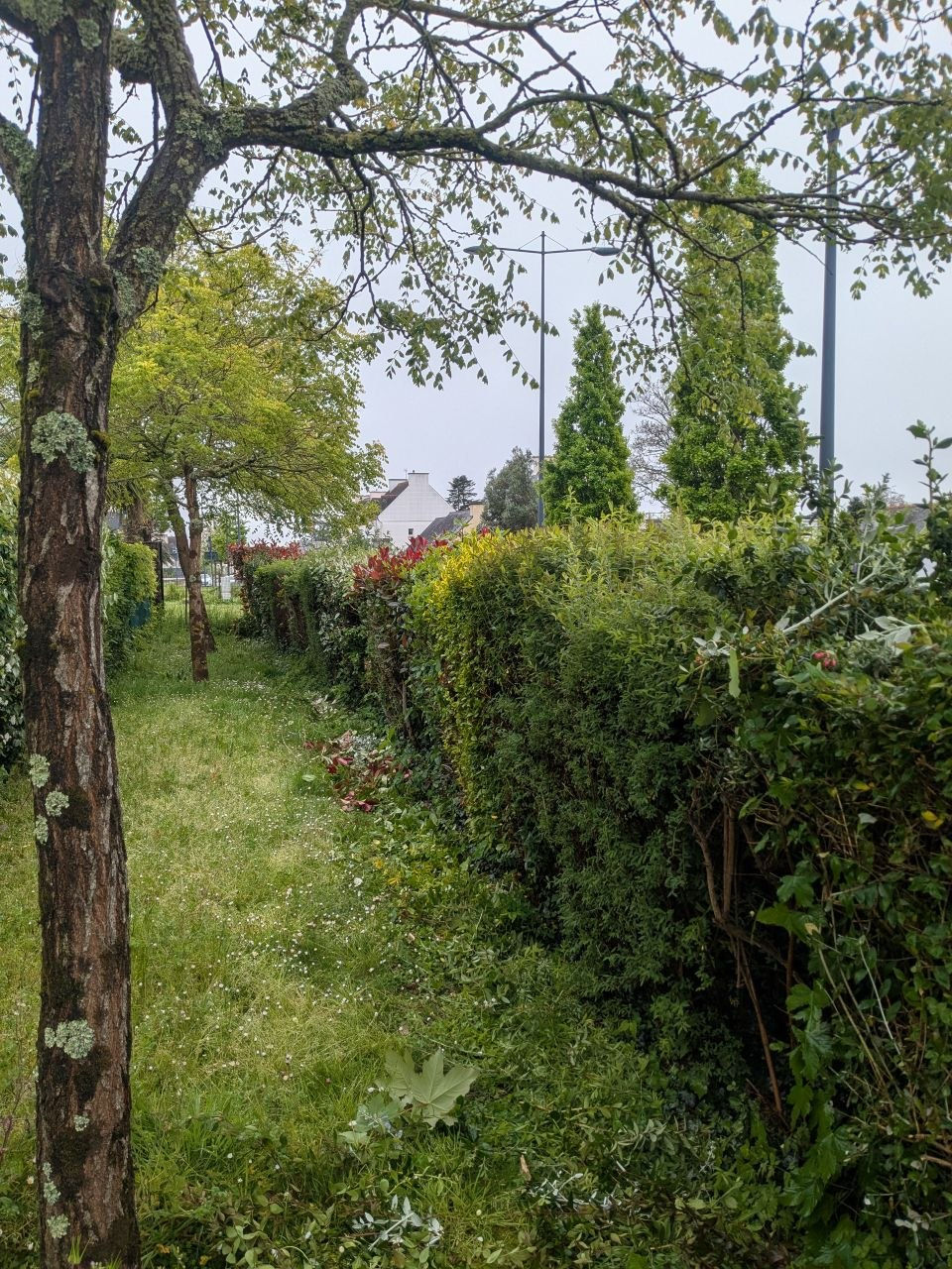 Allée des appartements de la copropriété