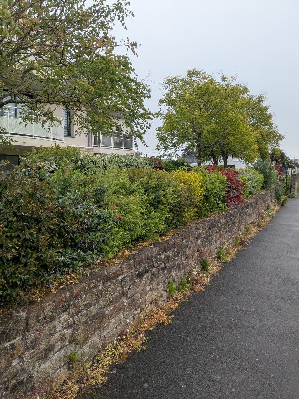 Muret devant la copropriété