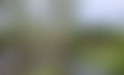 Our Conservation Project