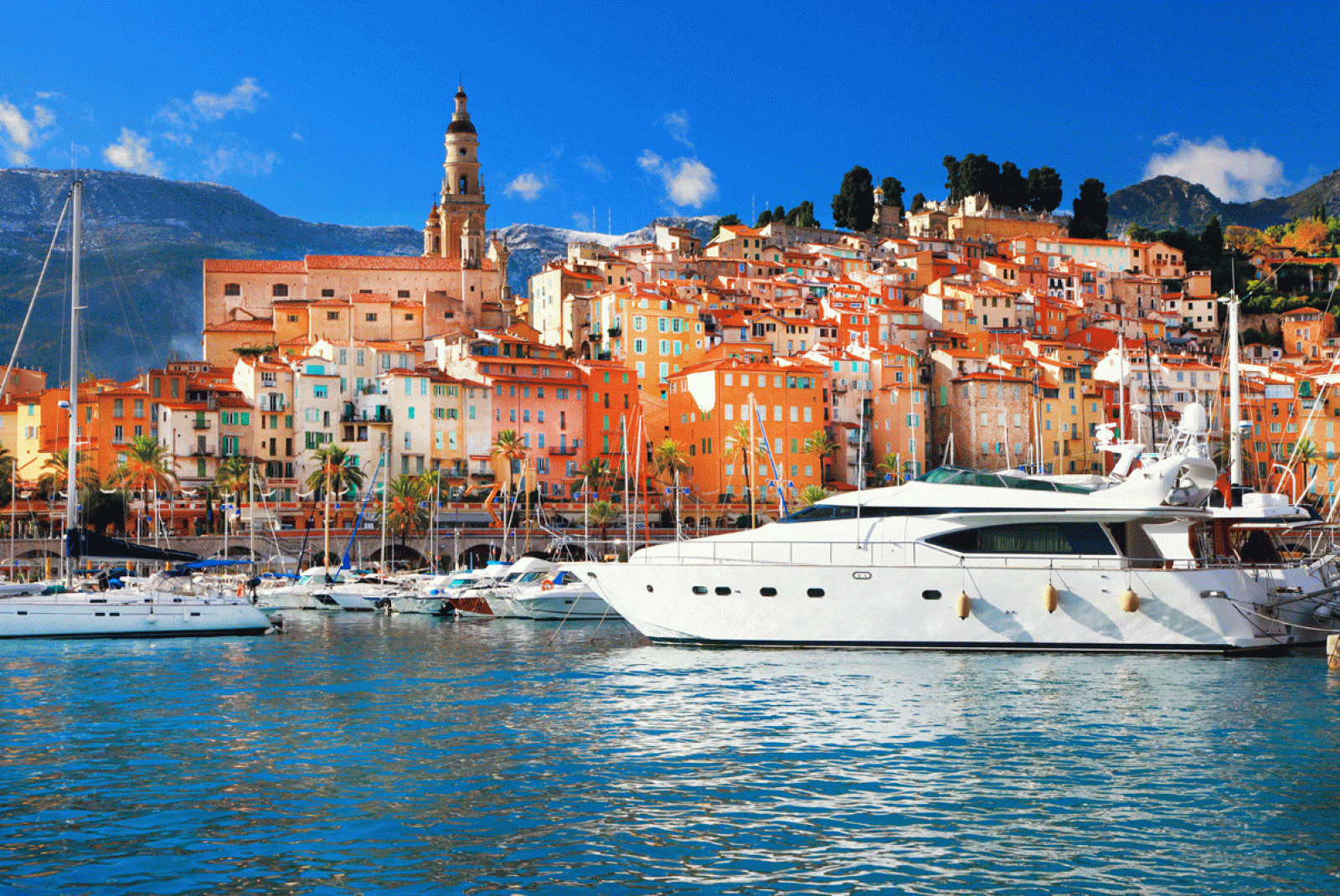 cannes-banner-1600x0-c-default.gif