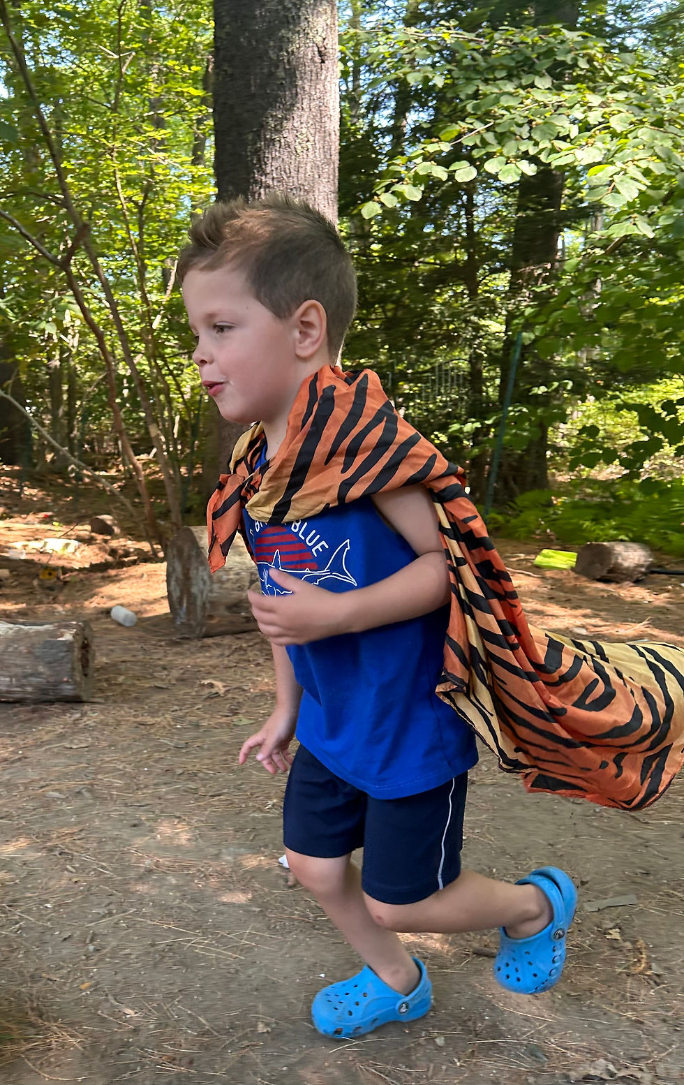Child runs in a forest, wearing a tiger-striped cape and blue shorts. Energetic mood, dappled sunlight creates a playful setting.