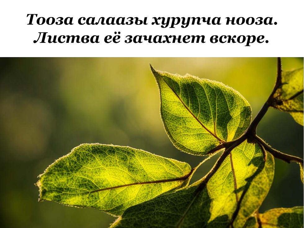 Тюкпееков Сергей 10 кл