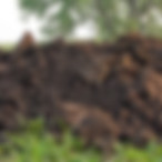 Pile of Dirt