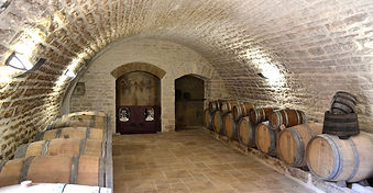 élevage pinot noir crus de bourgogne