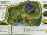 A Strand of RNA with Only 250 Nucleotides Has a Complex Lifestyle