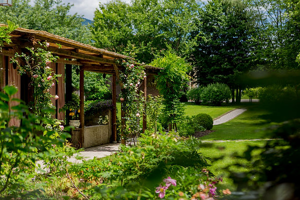 Fotografia professionale di giardini e architettura del paesaggio