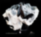 Thumbnail: Neptunite on Natrolite