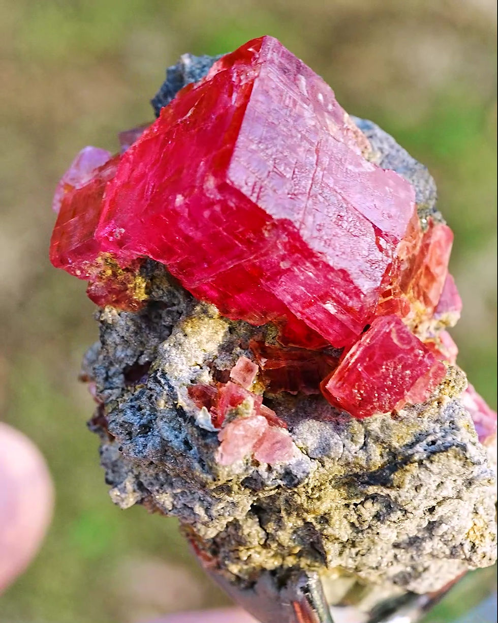 Miniature : Rhodochrosite
