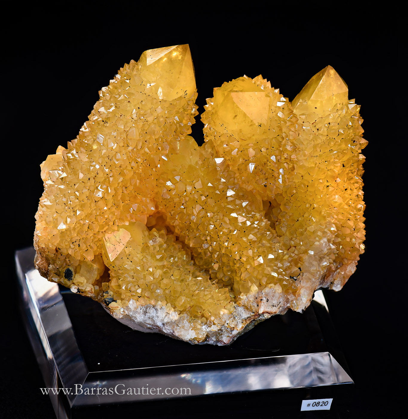 Sceptered Citrine Quartz
