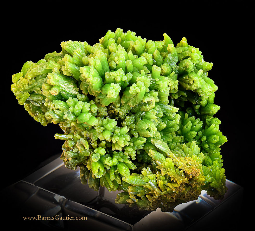 Miniature : Pyromorphite