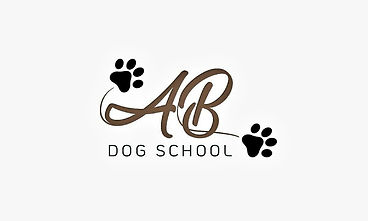 AB Dig School