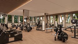 GYMNASIO