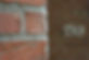BuenaVista 5.jpg