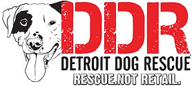 DDR 9135027-logo.jpeg