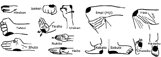 kihon1.gif